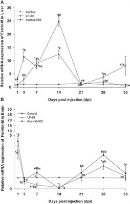 Nutritional Immunity Triggers the Modulation of Iron Metabolism Genes in the Sub-Antarctic Notothenioid Eleginops maclovinus in Response to Piscirickettsia salmonis